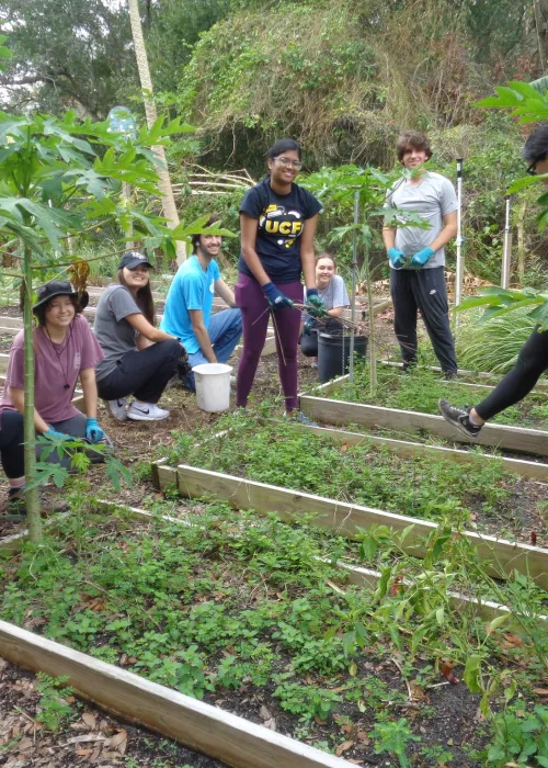 young people surrounding a garden bed of green sprouts