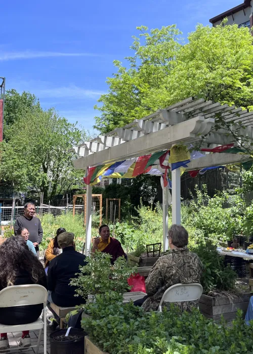 outdoor garden courtyard with people seated