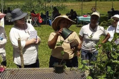 three people on green lawn in brimmed hats, potting plants