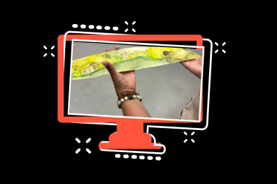 computer monitor with photo of person holding small banner