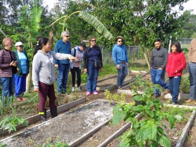 group of people around a garden bed