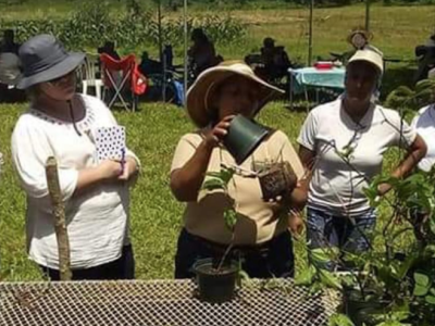three people on green lawn in brimmed hats, potting plants