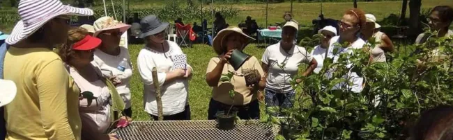 three people on green lawn in brimmed hats, potting plants