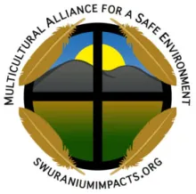 Multicultural Alliance for a Safe Environment