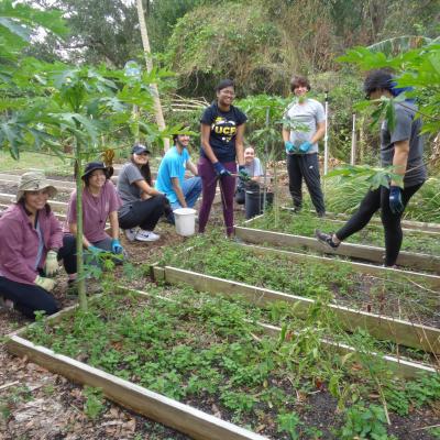 young people surrounding a garden bed of green sprouts